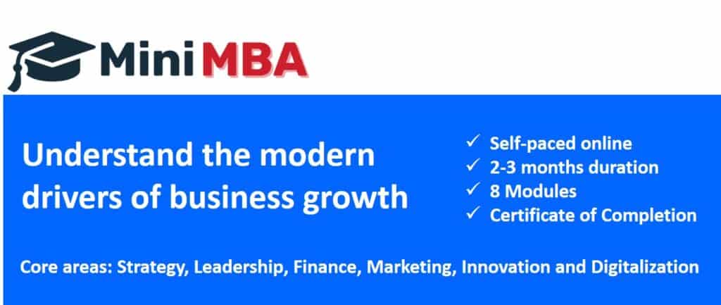 Mini MBA Business growth