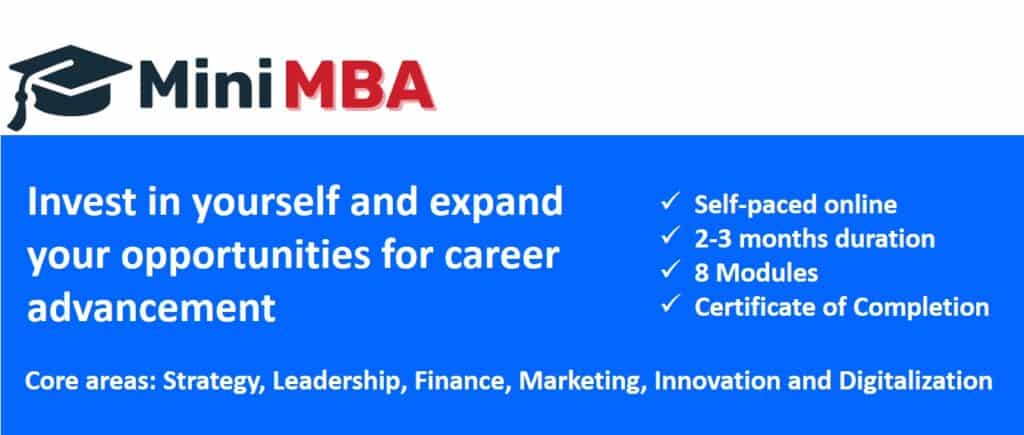 Mini MBA Strategy